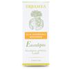 erbamea EUCALIPTO OLIO ESSENZIALE BIO