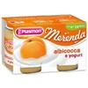 PLASMON OMOGENEIZZATO YOGURT/ALBICOCCA 2X120 GR