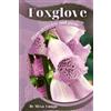 Mixa Lungu Foxglove (Tascabile)