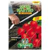 L'ORTOLANO SEMENTI DI ORTAGGI DI QUALITA' IN NASTRO PRE-SPAZIATO IN BUSTINA TERMOSALDATA (RAVANELLO SAXA 2)