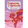 Samantha M. Clark Gemstone Dragons 2: Ruby's Fiery Mishap (Tascabile)