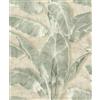 Rasch Tesa Cuba 371727 - Carta da parati autoadesiva, veloce, semplice, pulita, grandi foglie di banana in verde su beige.