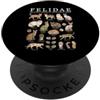 Feline Studies Collection Grafico anatomico delle razze feline domestiche Felidae PopSockets PopGrip Adesivo