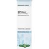 Erba Vita Estratti Liquidi - Tintura Idroalcolica Betulla, 50ml