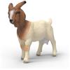 Schleich FARM WORLD | Capra Boera 14929