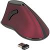 DELOCK ergonom. Maus vertikal optisch 5-Tasten 2.4GHz wirel.