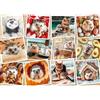 Ravensburger Spielverlag 1500 piece puzzle: Cute animal photo