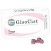 GISSOMA Srl gisocist 15 compresse