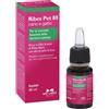 N.B.F. LANES Srl ribes pet 80 gocce olio 25 ml con contagocce