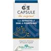 PRODECO PHARMA Srl gse 60 capsule