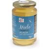 HEALTION Srl SOCIETA BENEFIT miele di acacia bio 500 g