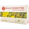NUTRACEUTICA BIOLIFE Srl tribulus terrestris 60 capsule