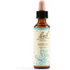 SCHWABE PHARMA ITALIA Srl beech bach orig 20 ml