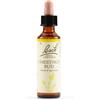 SCHWABE PHARMA ITALIA Srl chestnut bud bach orig 20 ml
