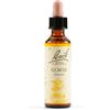 SCHWABE PHARMA ITALIA Srl gorse bach orig 20 ml