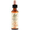 SCHWABE PHARMA ITALIA Srl mimulus bach orig 20 ml