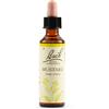 SCHWABE PHARMA ITALIA Srl mustard bach orig 20 ml