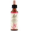 SCHWABE PHARMA ITALIA Srl sweet chest bach orig 20 ml