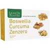 NATURA SERVICE Srl boswellia curcuma zenzero 60 capsule da 0,81 g