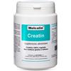 BIOTEKNA Srl melcalin creatin 190 g