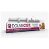 SHEDIR PHARMA Srl Unipersonale dolvecist pasta siringa 30 g