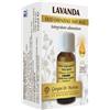 DR.GIORGINI SER-VIS Srl lavanda olio essenziale naturale 10 ml