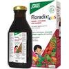 SALUS HAUS Gmbh & Co KG floradix kids 250 ml