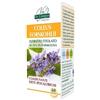DR.GIORGINI SER-VIS Srl coleus forskohlii estratto titolato 60 pastiglie