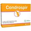 ANVEST HEALTH SpA SOC. BENEFIT condrospir 14 bustine