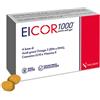 NALKEIN ITALIA Srl eicor 1000 30 softgel