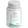 AURORA BIOFARMA Srl bendiar maxi 20 compresse