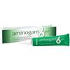 PROFESSIONAL DIETETICS SpA aminogam 6 gel tubo 15 ml