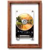 Denash Lettore CD a Forma di Cornice Portafoto in Stile retrò, Lettore CD Verticale Trasparente Bluetooth, Montaggio a Parete/scrivania, Senza Altoparlante Integrato, Suono HiFi