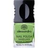 Alessandro standard vernice 921 Holy guacamole, 10 ML