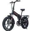 RANDRIDE YX20 Bicicletta elettrica 1000W Motore 48V 17Ah Batteria