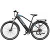 DUOTTS C29 Max Bicicletta elettrica, motore da 250 W, batteria da 48 V 18 Ah, pneumatici da 29×2,10 pollici
