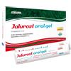 PRINCEPS Srl Princeps Jalurost Oralgel 15 Stick - Drenaggio