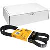 Contitech 6 PK 1325 Cinghie Trapezoidale