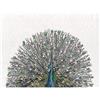 Maxwell & Williams Marini Ferlazzo Birds Strofinaccio da Cucina in Cotone Stampato con Pavone Reale, Colore Nero / Bianco, 50 x 70