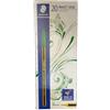 Staedtler 434 M Noris Stick Penna a sfera con punta resistente, 1 mm, Confezione da 20, Verde