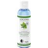 LOGONA Naturkosmetik LOGONA - Tonico per il viso biologico chiarificante per pelle e pelle mista, menta biologica e acido salicilico naturale di corteccia di salice, opaco, naturale e vegano, 125 ml