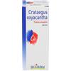 Boiron Crataegus Oxyacantha Tintura Madre Cuore e Circolo 60 ml