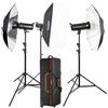 Godox Kit flash da studio Godox SKII400 400 D