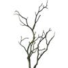 Yuanpgky 5 rami artificiali di albero essiccato, rami di albero secchi, decorazioni di Halloween, piante da serbatoio, riempitivo per vasi e decorazioni di Halloween (B008 verde)