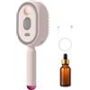 Generico Spazzola Per Lisciare I Capelli - Ripristina Le Cuticole Dei Capelli Lisci Come La Seta, Pettine Districante Ricaricabile Con Misurino Per Olio, Bacchetta Tascabile + Kit Leggero Da 140 G, Calore