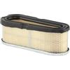 Briggs & Stratton Cartuccia Filtro dell'Aria Originale 691667 Briggs And Stratton