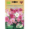 Germisem Biologico Cosmos Bipinnatus Semi di Cosmos 2 g