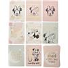 Widdop and Co Widdop Disney Minnie Mouse Milestone - Set di 24 biglietti