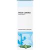 ERBA VITA GROUP SpA Gemmoderivato rosa canina 50 ml - Erba Vita - 902660152