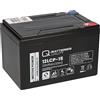 Akkuman.de Akkutechnik vom Fachmann Q-Batteries 12LCP-15 12 V 15 Ah batteria al piombo Scooter compatibile - Durevole - Non manutenzione - Affidabile - Batteria - Batteria - Alimentazione